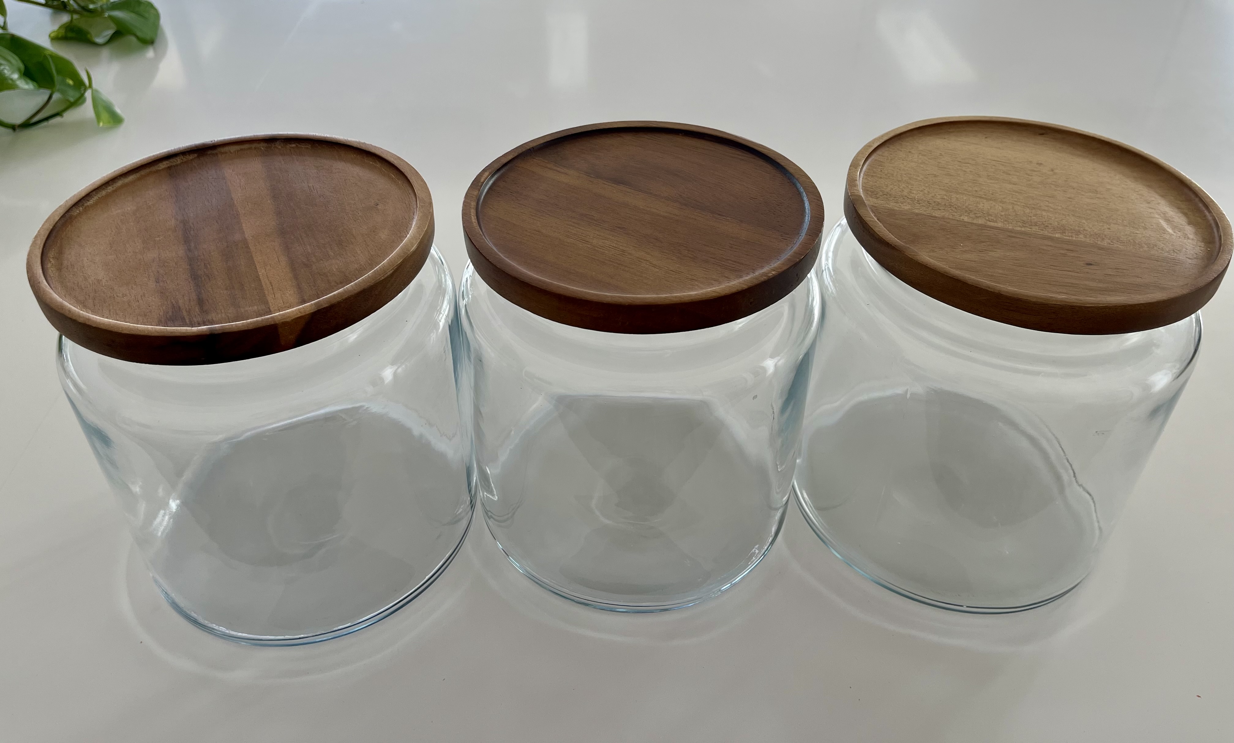 Crate and Barrel - Trio of Glass Jars